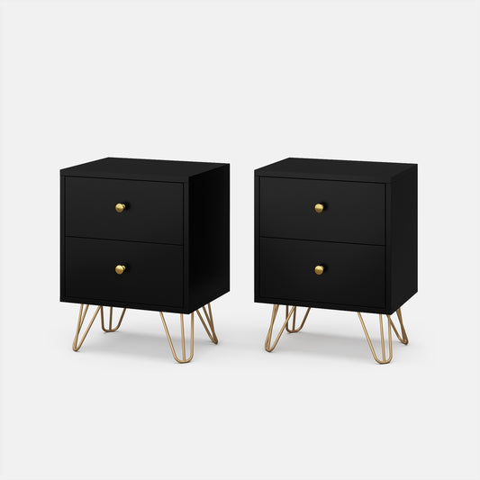 Modern Wood Nightstand Set of 2 with 2 Drawers Bedside Tables End Table for Bedroom Living Room