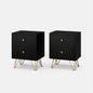 Modern Wood Nightstand Set of 2 with 2 Drawers Bedside Tables End Table for Bedroom Living Room