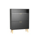 Shoe Cabinet with 2 Flip Drawers and Open Shelf Shoe Organizer for Entryway